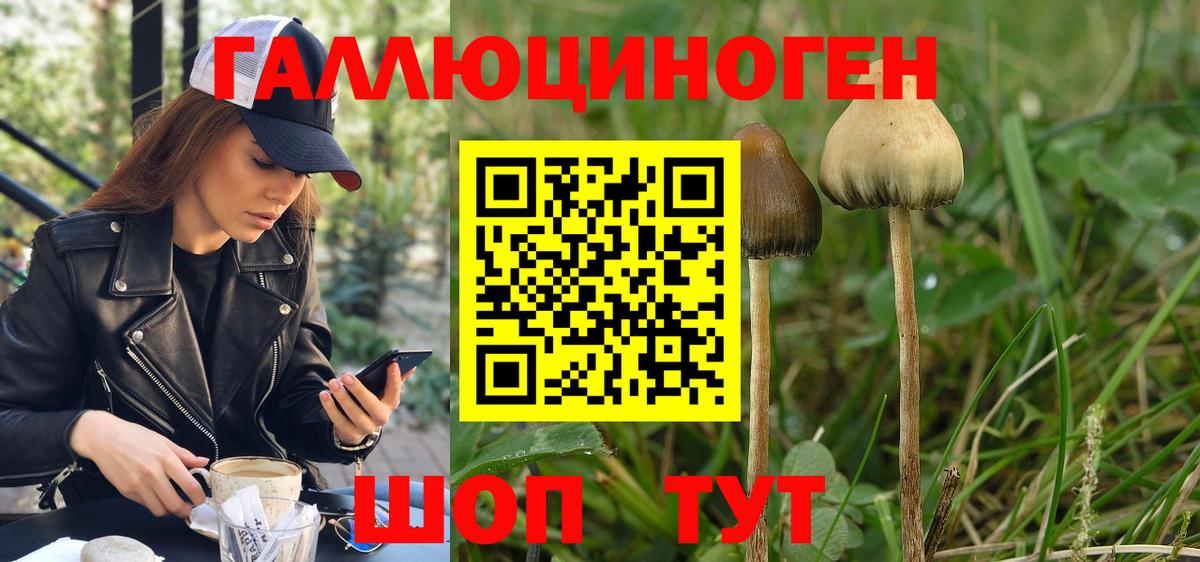 Галлюциногенные грибы прущие грибы Сертолово