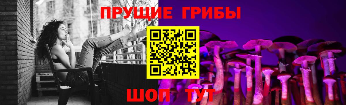 Сертолово  Галлюциногенные грибы Psilocybe  Вход с VPN 